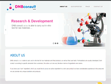 Tablet Screenshot of dnbconsult.com